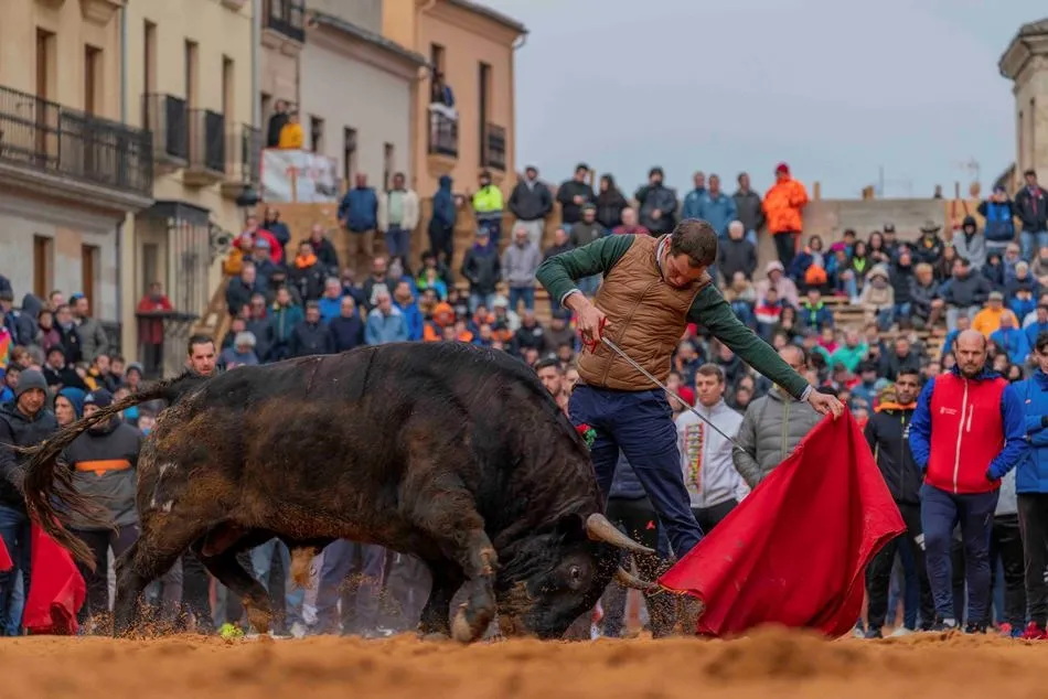 Foto 6 - Elegidas las 12 im&aacute;genes que ilustrar&aacute;n el Calendario Carnavalero 2020/2021  