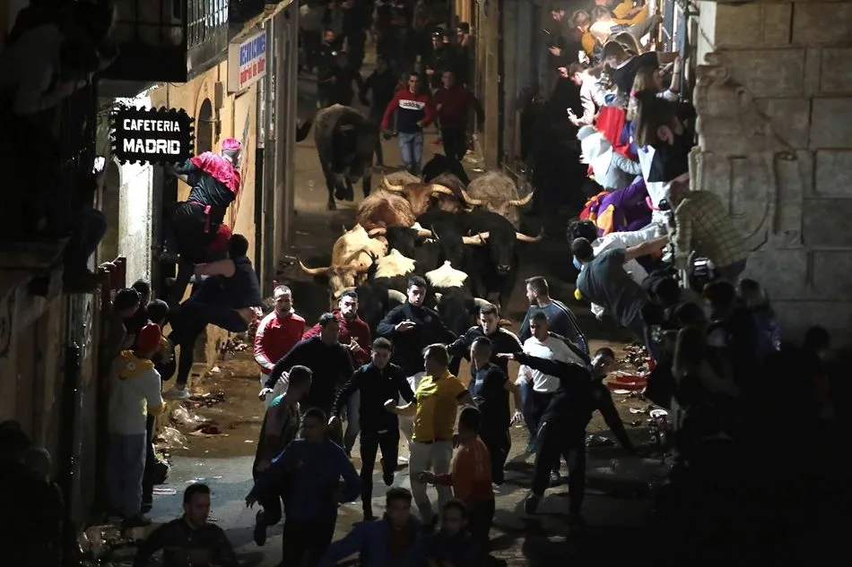 Foto 3 - Elegidas las 12 im&aacute;genes que ilustrar&aacute;n el Calendario Carnavalero 2020/2021  