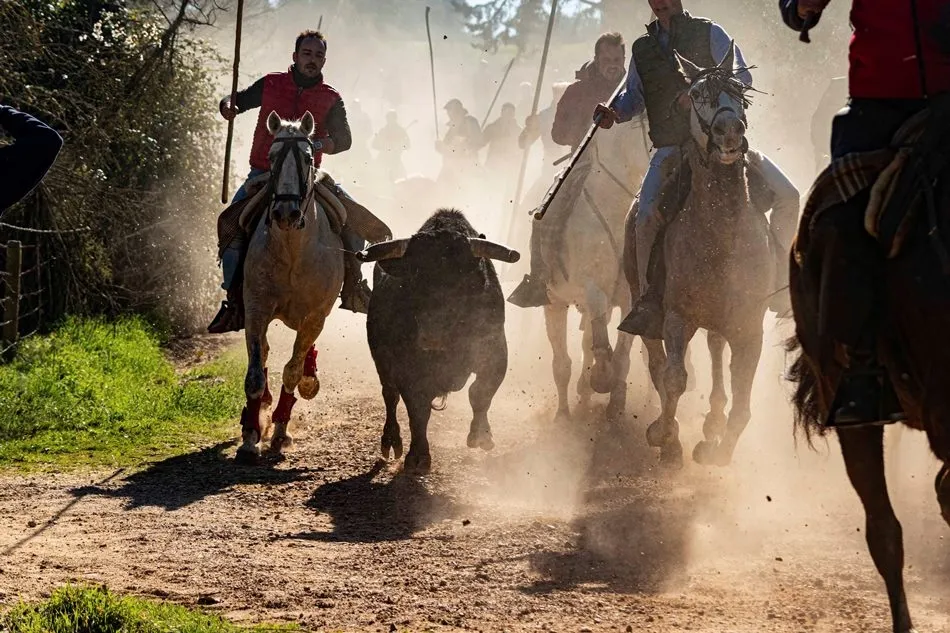 Foto 4 - Elegidas las 12 im&aacute;genes que ilustrar&aacute;n el Calendario Carnavalero 2020/2021  