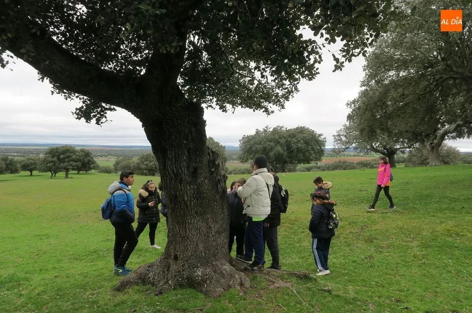 Foto 4 - Alumnado del IES &lsquo;Leonardo Da Vinci&rsquo; visita la finca de Castro Enr&iacute;quez