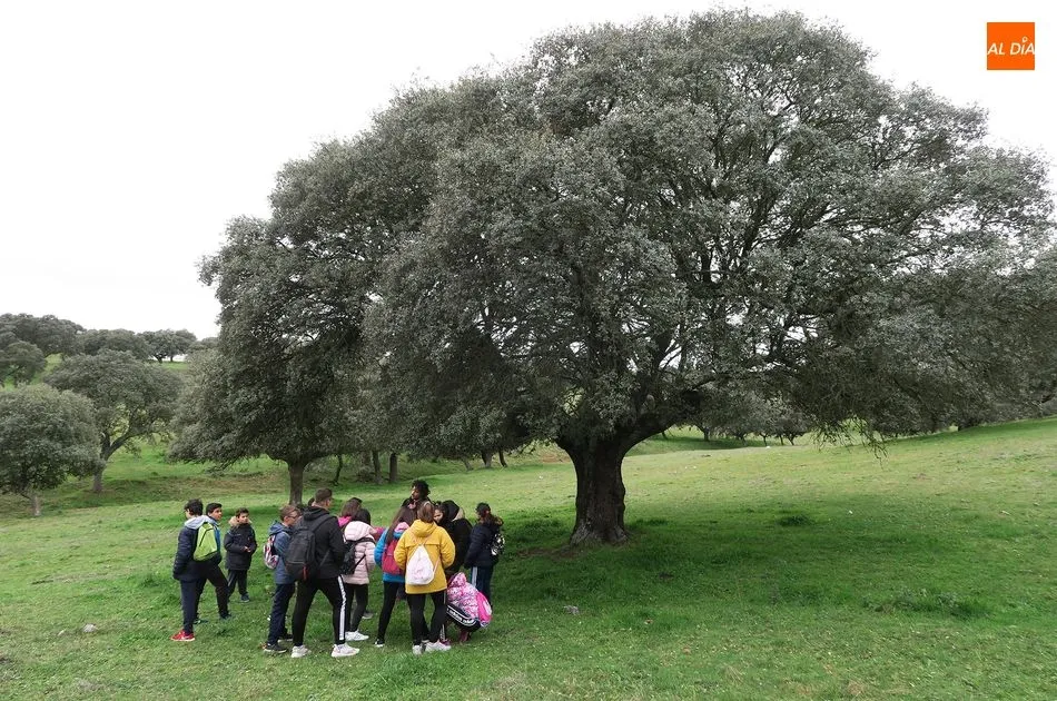 Foto 3 - Alumnado del IES &lsquo;Leonardo Da Vinci&rsquo; visita la finca de Castro Enr&iacute;quez