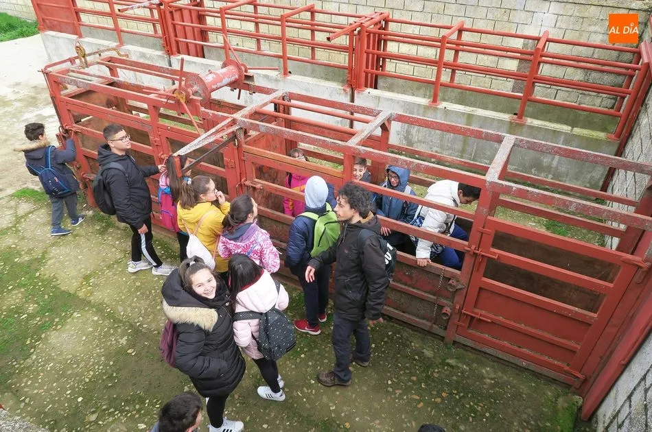 Foto 2 - Alumnado del IES &lsquo;Leonardo Da Vinci&rsquo; visita la finca de Castro Enr&iacute;quez