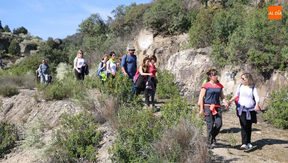 El plazo de inscripción vence el 6 de marzo a las 14.00 horas / CORRAL