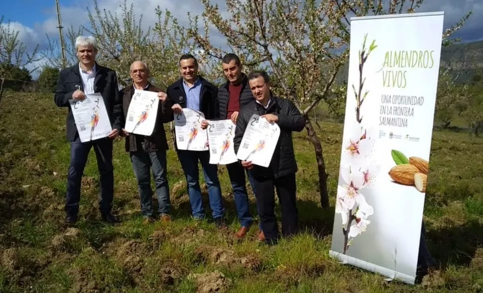 Promovido el 2º certamen de pintura Almendros Vivos con la participación de Adecocir  