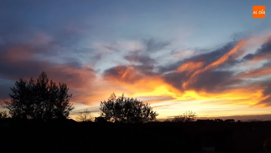 Atardecer entre olivos  