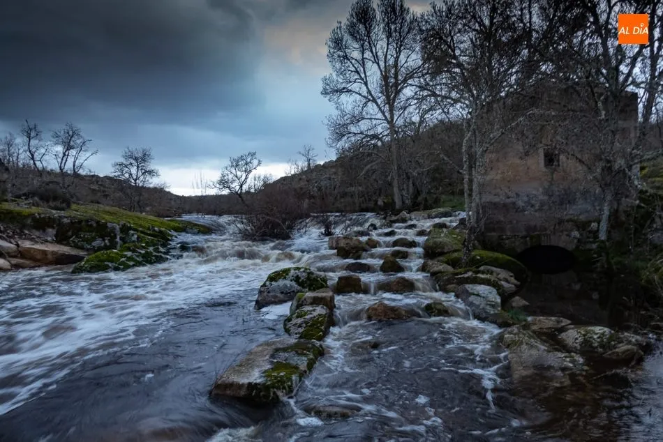 La Ramajería que alimenta el Uces  