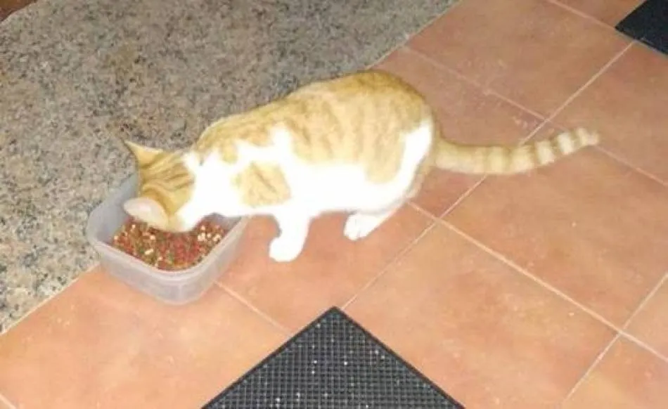 La Fundación Luna rechaza la forma y el fondo de la ruptura de su convenio por parte del...