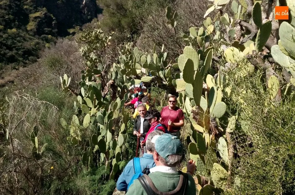 Foto 10 - Cerca de 200 senderistas toman la salida en Sobradillo en busca del &lsquo;buraco&rsquo;  