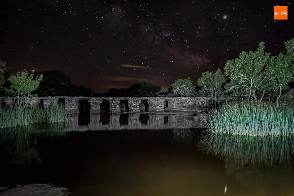 El puente de la vida
