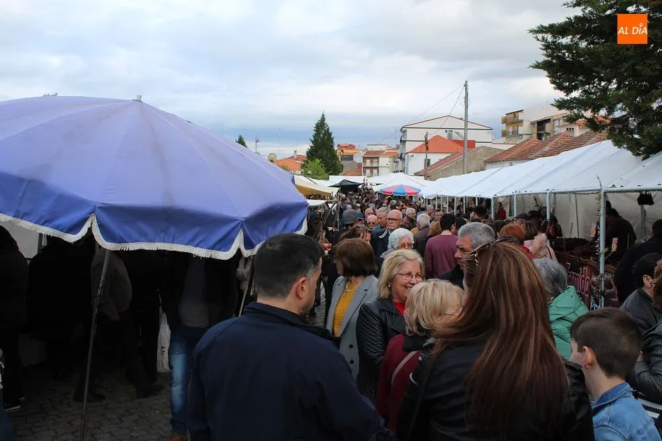 Foto 8 - Homenaje a las tradiciones en el XXXIX desfile etnogr&aacute;fico de Foz C&ocirc;a  