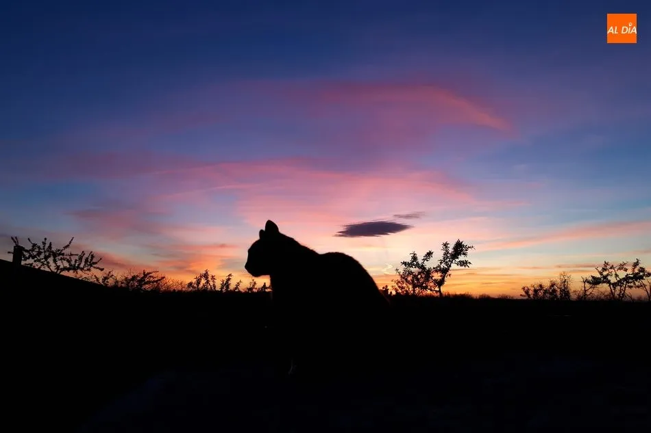 La naturaleza de las cosas