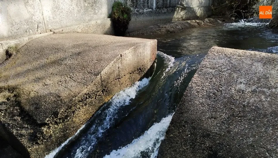 Lugar del canal de alimentación de la turbina en el que tendría que estar la compuerta de la turbina