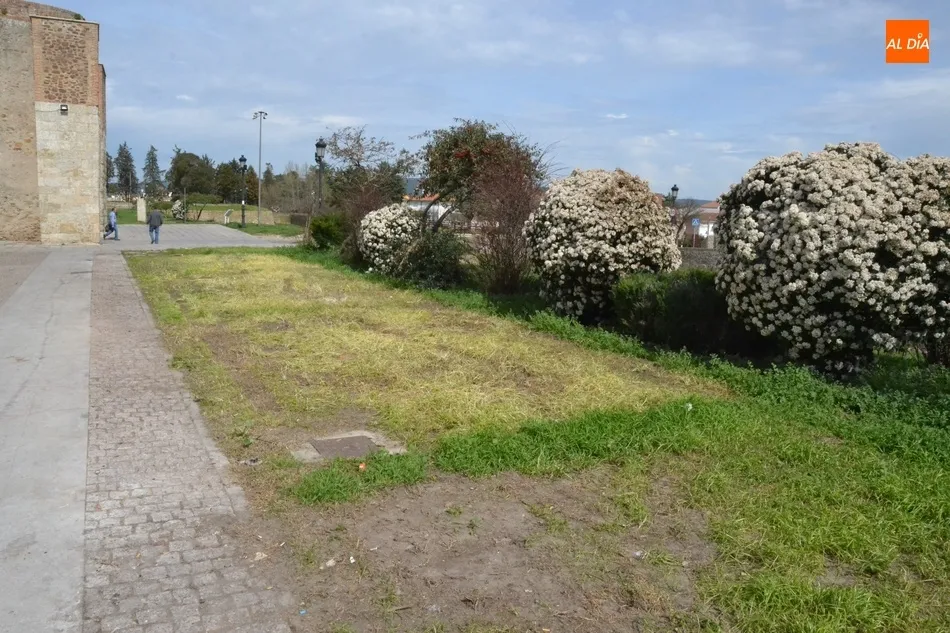 Foto 2 - El Paseo Fernando Arrabal luce ya libre de casetas  