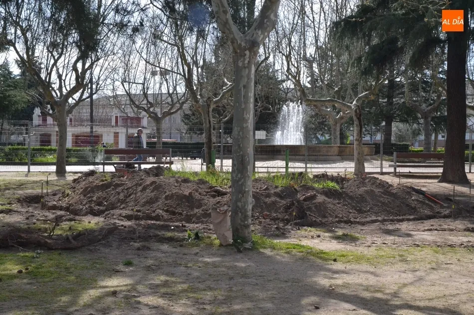 Foto 2 - Se empiezan a perfilar las zonas ajardinadas del tramo en reforma de La Glorieta  