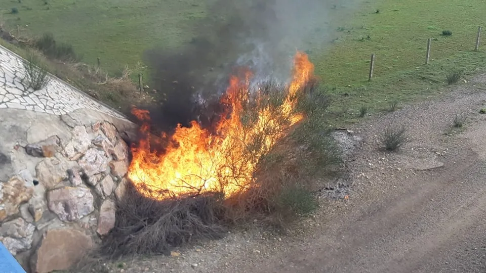 Declarado un pequeño incendio junto a la A-62 a la altura de Sancti-Spíritus  
