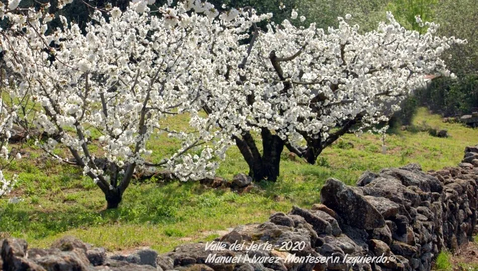 Un paseo virtual por el Valle del Jerte