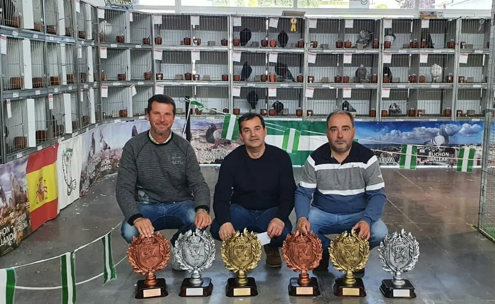 Tres criadores mirobrigenses ganan premios en el Campeonato de España de Palomos de Raza  