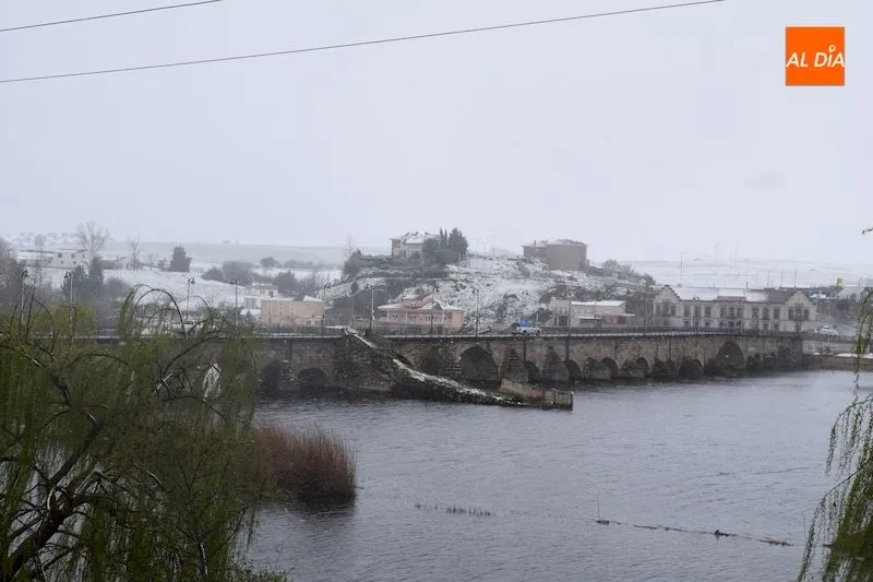 Foto 10 - La nieve cubre Alba de Tormes en plena cuarentena por el coronavirus