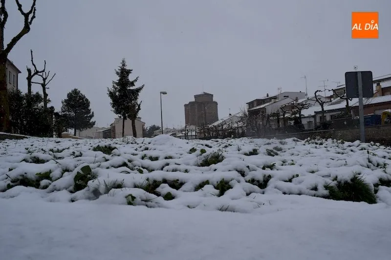Foto 7 - La nieve cubre Alba de Tormes en plena cuarentena por el coronavirus