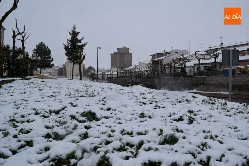 Foto 4 - La nieve cubre Alba de Tormes en plena cuarentena por el coronavirus