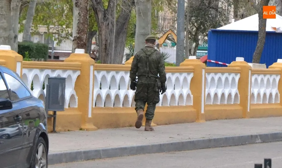 Foto 6 - El Ej&eacute;rcito de Tierra retorna a las calles mirobrigenses  