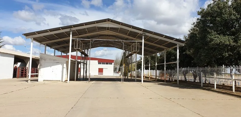 Foto 3 - La Diputaci&oacute;n de Salamanca mantiene abierto el centro para desinfectar camiones de transporte de...