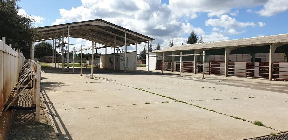 Foto 2 - La Diputaci&oacute;n de Salamanca mantiene abierto el centro para desinfectar camiones de transporte de...