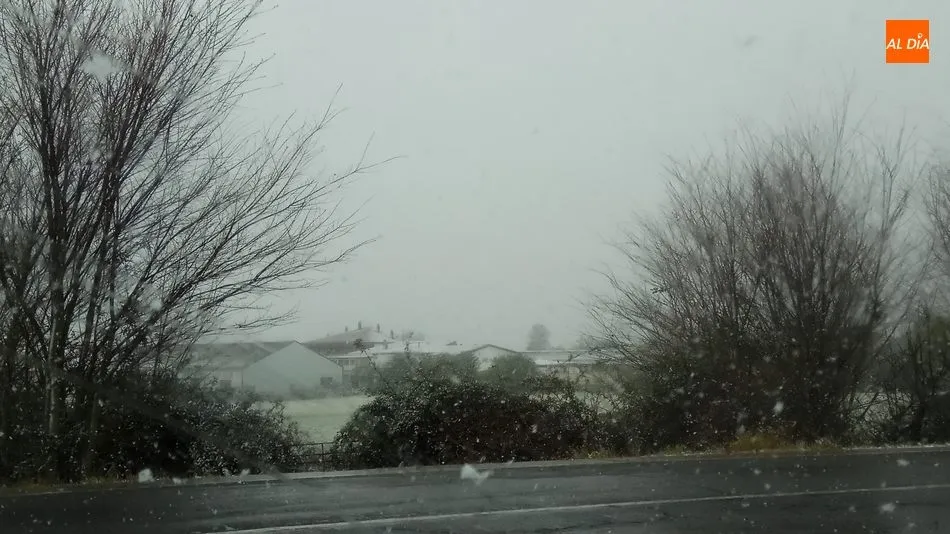 Foto 2 - Vitigudino resiste bajo la nieve el tercer martes de mercado durante el estado de alarma por...
