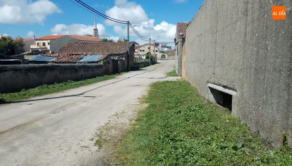 El Ayuntamiento eliminaba de este modo un riesgo en la propagación del coronavirus / CORRAL