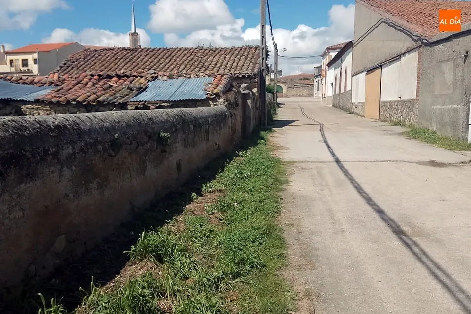 Foto 2 - El Ayuntamiento de Vitigudino limpia de guantes de pl&aacute;stico la calle La Huerta