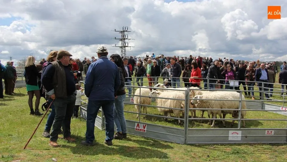 Barruecopardo tendrá su Feria de SAn Felipe y la marcha de senderismo, pero en otras fechas / CORRAL