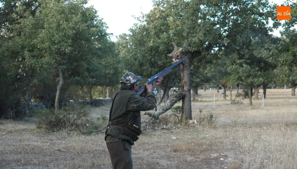 Antes de tomar una decisión firme, se escuchará a todas las partes, también al sector cinegético / CORRAL