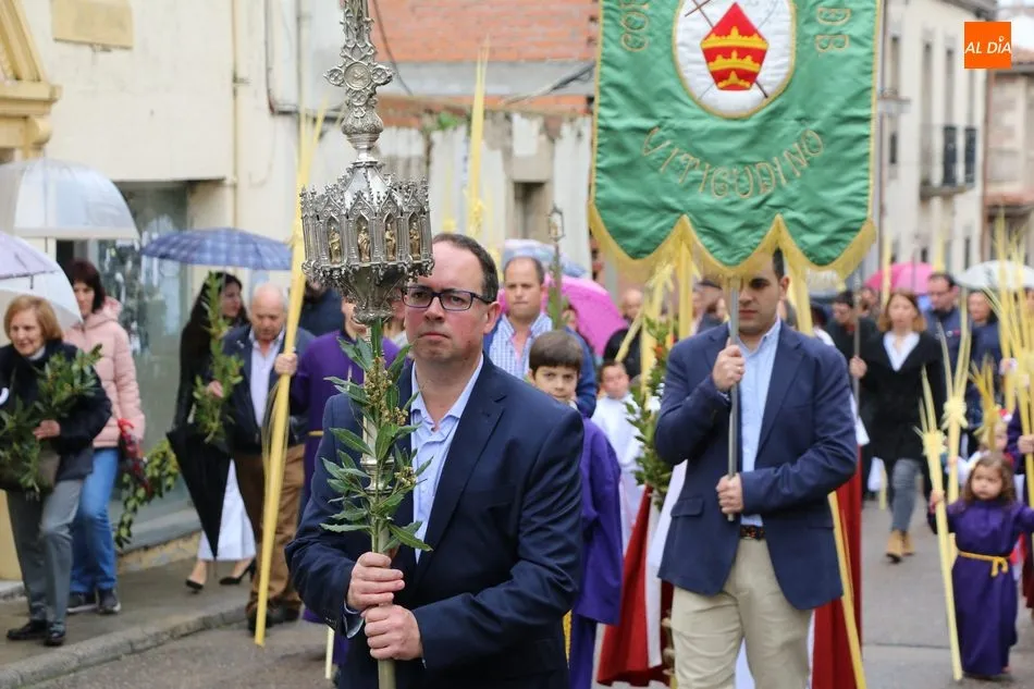 Foto 3 - Procesi&oacute;n del Domingo de Ramos en Vitigudino, los ni&ntilde;os son los protagonistas  
