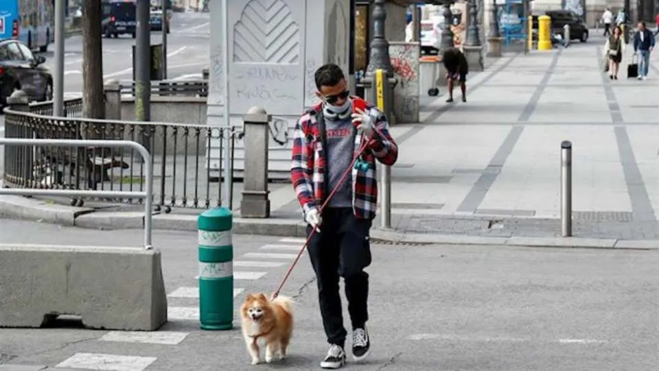 No se sabe por ahora el modo en el que pudo transmitirse el virus de la fuente animal a los primeros casos humanos, si bien todo apunta al contacto directo con los animales infectados o sus secreciones