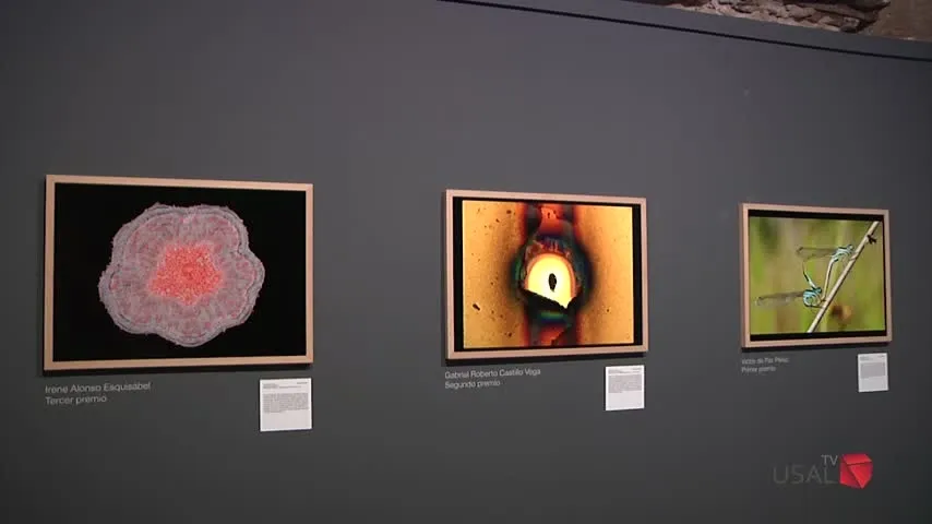 Foto 2 - La USAL premiar&aacute; a la mejor imagen divulgativa hecha en casa en su VIII Certamen de Fotograf&iacute;a...