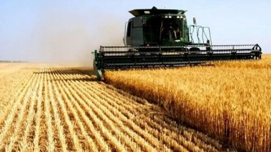 Incertidumbre entre cosechadores españoles y productores portugueses con el inicio de la campaña a la vista