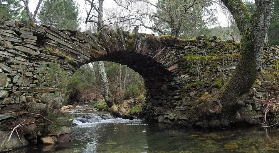 La resistencia de lo frágil