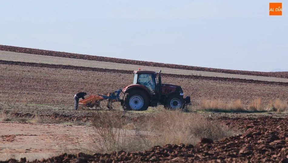 La Junta resuelve, por 12,5 millones, las peticiones de contratos plurianuales de agroambiente y...