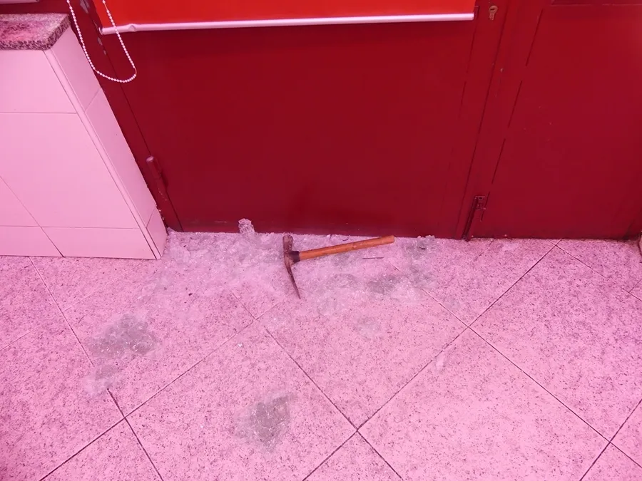 Foto 2 - Arrestados por fracturar el cristal de la puerta de una carnicer&iacute;a salmantina para robar embutido