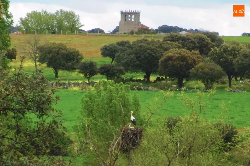 La naturaleza sigue su curso ajena a los intereses de los hombres