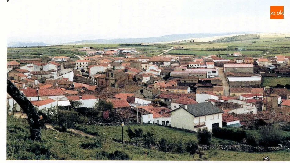 El Ayuntamiento de Hinojosa ofrece ayudas de hasta 2.000€ a empresarios, ganaderos y agricultores ...