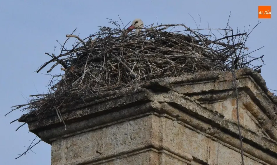 1Foto: Otra vigilante callejera  