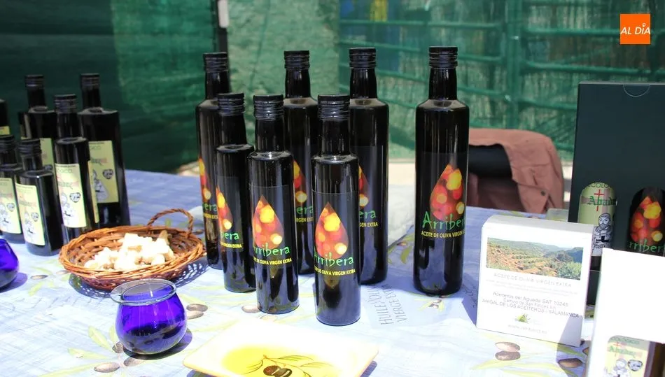 La finalidad es reducir el impacto económico negativo del coronavirus / CORRAL