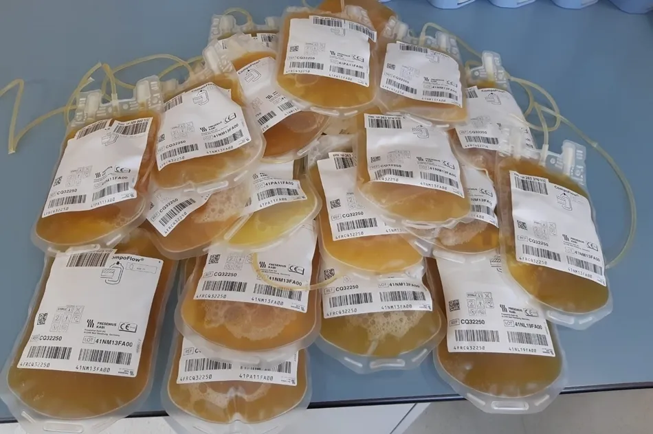 ensayo clínico para evaluar el tratamiento con plasma de pacientes que han superado el Covid-19. Foto: EP