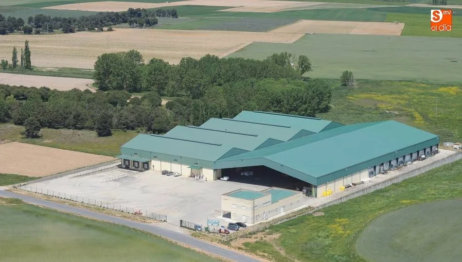 Instalaciones de la cooperativa Aranpino, entre Arabayona y Cantalpino