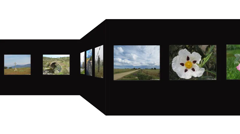 El martiagués Floren ofrece una exposición virtual de fotografías  