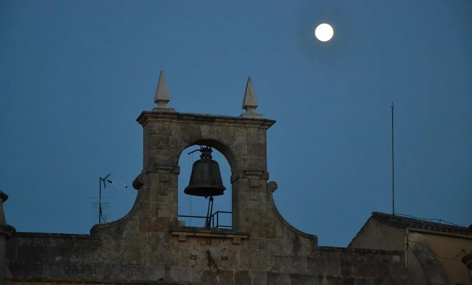 El Ayuntamiento destinará 11.878,97€ del superávit de 2019 a fines sociales  