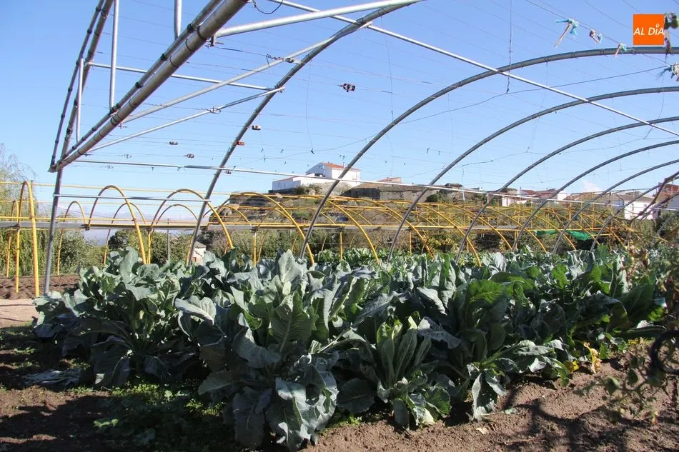 Los habitantes del medio rural ven de nuevo como el Gobierno legisla para los habitantes de las ciudades / FOTO: ARCHIVO