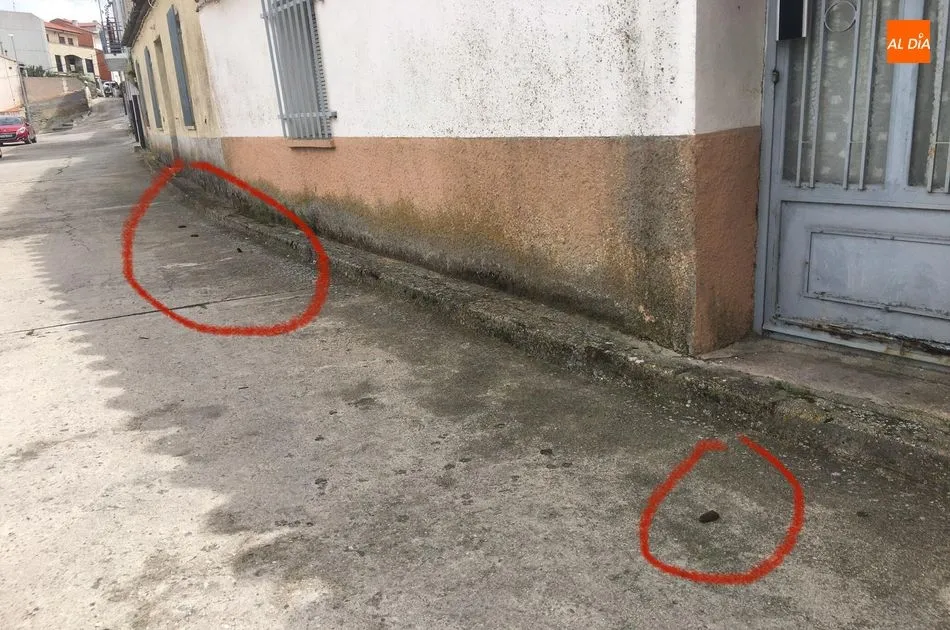 Foto 3 - Quejas vecinales por las cacas de perro sin recoger en la calle