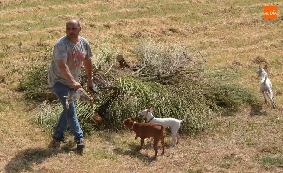 Suspendidas la Feria de Mayo, el Día de la Mascota y la Feria de la Caza  